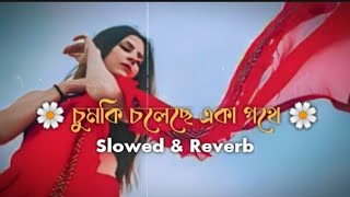 চুমকি চলেছে একা পথে  | chumki choleche eka pothe | james | জেমস | লিরিক্স গান ২০২৪ | new lyrics 2024