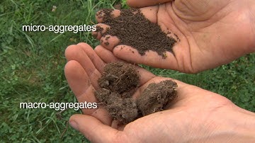 Soil Health: Soil Physical Properties