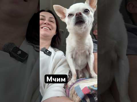 Мчим / +38 за бортом