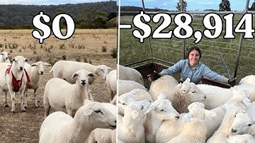 First-Year Farming Profit… Let’s Call It “Character Building”