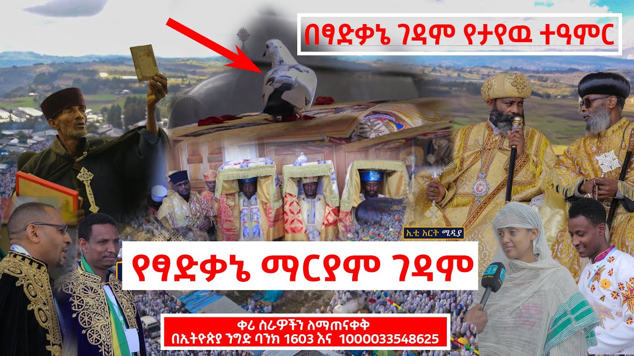 በፃድቃኔ ማርያም የታየዉ ተዓምር…እርግቧ በታቦቷ..….. የህዝብ ማዕበል የታየበት...Tsadkane Mariam monastery
