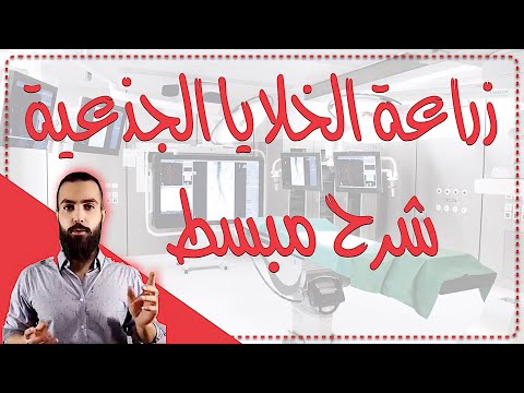 ما هي زراعة الخلايا الجذعية ؟ شرح مبسط للغاية