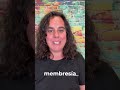 Apúntate a nuestro webinar y crea tu propia página web de membresía con WordPress | Piensa Solutions