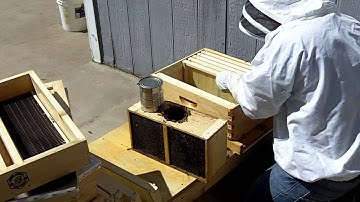 How To Install A Package Of Honey Bees - Step by Step - Beehive #1