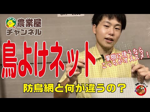 【防鳥網と一味違う】鳥よけネットのご紹介!【農業屋】 hqdefault