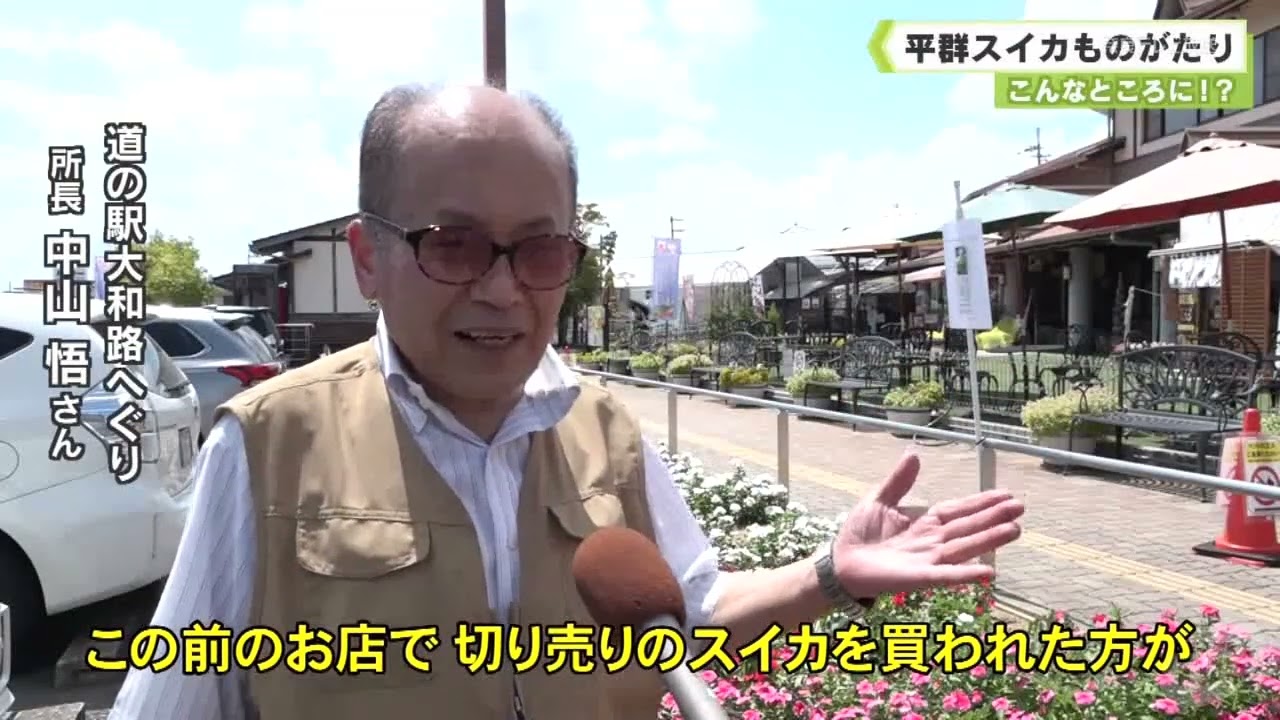 TVN NEWS