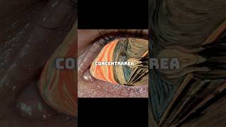 Focus Total Secretul Victoriei