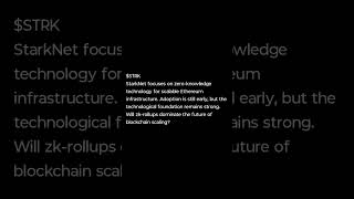StarkNet & ZK Rollups | Could STRK Shape the Future of Ethereum Scaling?