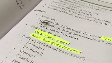 Mosquito killing-Pyrethrin effect on mosquito....!
