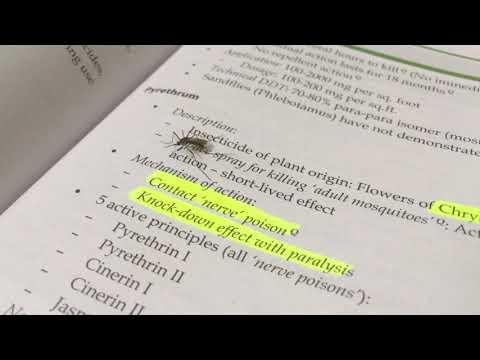Mosquito killing-Pyrethrin effect on mosquito....!