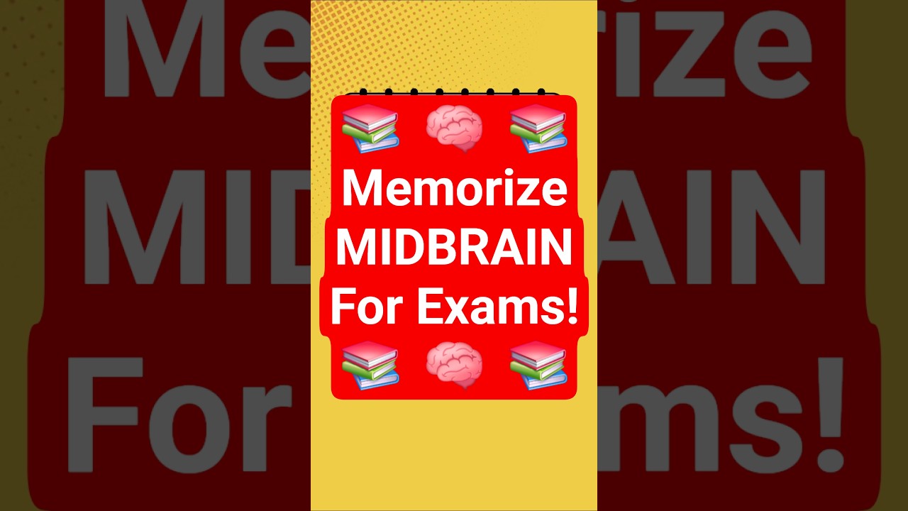 Part 3 | MIDBRAIN Anatomy and Functions! Ms. Riaz Academy 