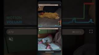 Turn Your Smartphone into a High-Tech Baby Monitor: Easy Setup and Unlimited Connections with Nani screenshot 5