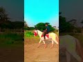 Gandadagudi title song in horseridein spiritness
