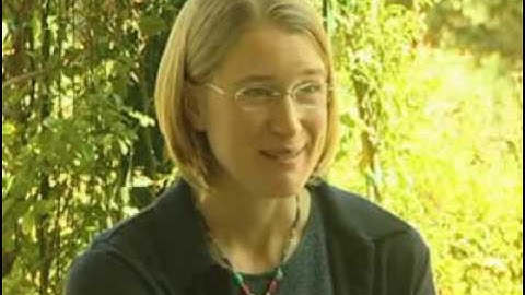 Multidisciplinarity and Environment