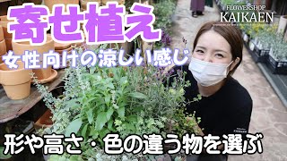 寄せ植え　カラーリーフ　女性向け　植物の選び方　ポイント【おうちでガーデニング】開花園チャンネル