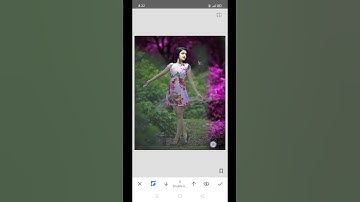 Snapseed Photo Editing Short video || Short video | Short