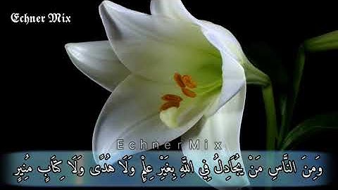 حالات واتس - ذلك بأن الله هو الحق وأنه يحيي الموتى - للقارئ الشيخ | عبد الرحمن مسعد