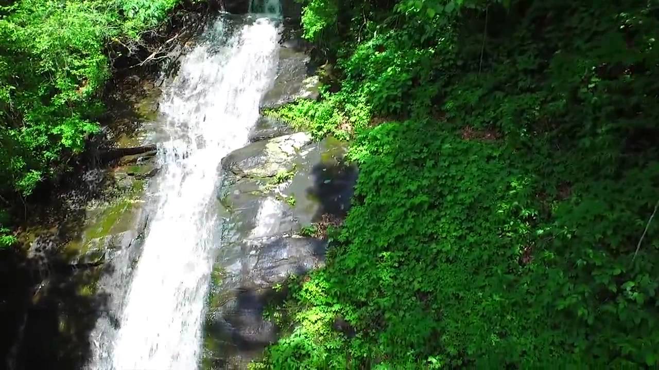 Unique Exotic Paradise in Jasper, YouTube
