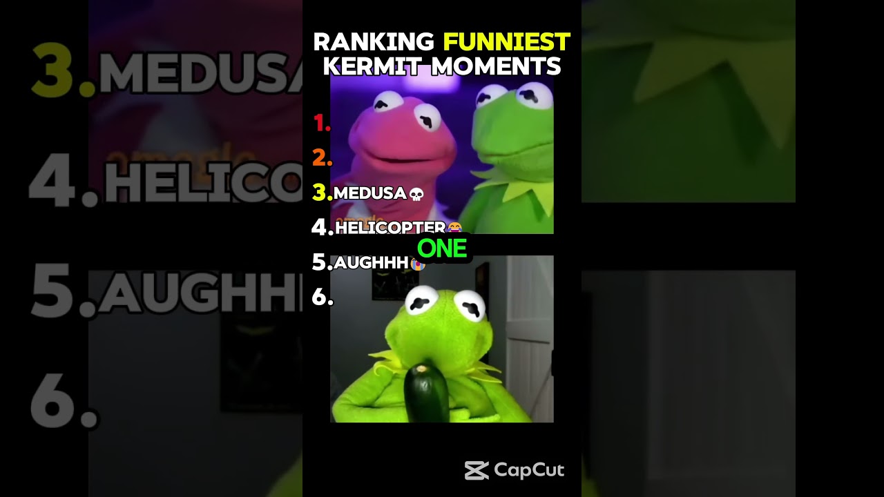 Top 6 Kermit Moments That Made Everyone Laugh! 