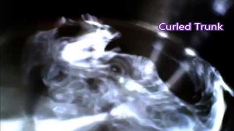 See Spirits Through Water ITC