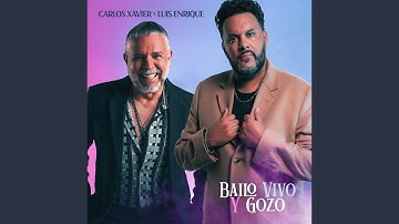 Bailo Vivo y Gozo
