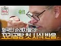 [#스페인하숙] 외국인 순례자들 꼬리곰탕 첫 먹방! (차셰프 요리 먹으러) 섬으로 떠날 준비중🏝️ 190426 EP7 #03