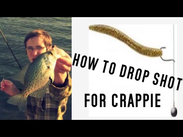 How to drop shot for crappie 