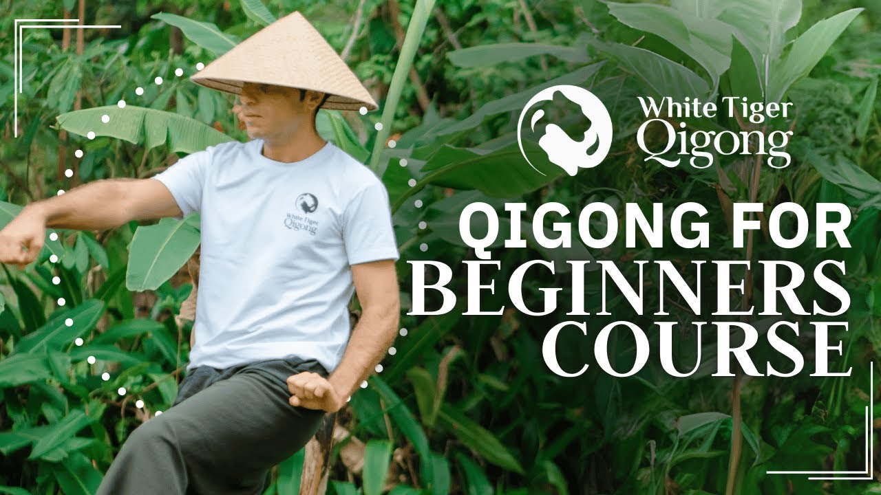 Qigong for Beginners: | Master the Fundamentals & Unlock Inner Power ...
