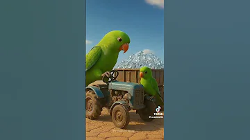 Https Vt Tiktok Com ZSAAFYUoj 