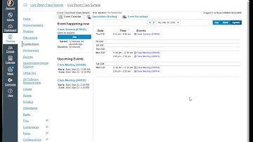 Student Accessing ConferZoom on Canvas