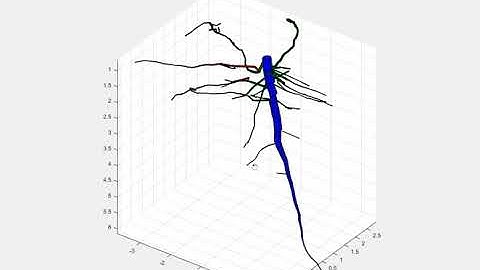 Root phenotyping by X-Ray CT