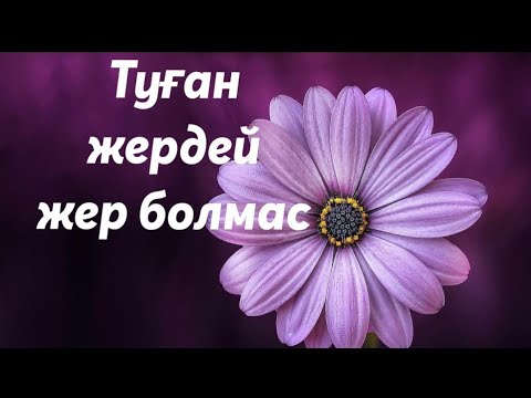 +Туған жер алтын бесігім/Бота Бейсенова/караоке