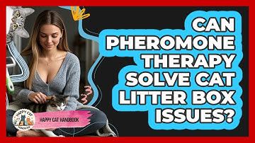 Can Pheromone Therapy Solve Cat Litter Box Issues? - Happy Cat Handbook