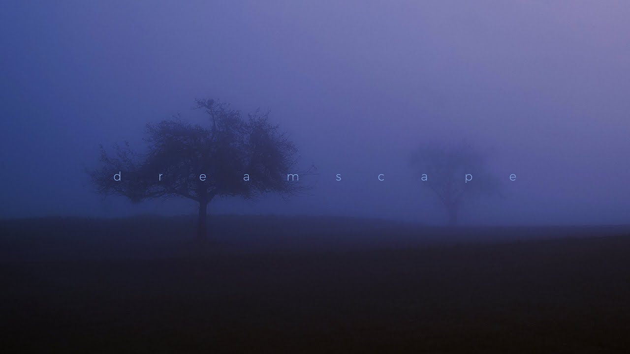 trapeia - that's life