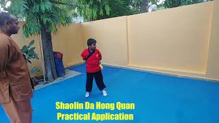 Shaolin Da Hong Quan Combat Application screenshot 3