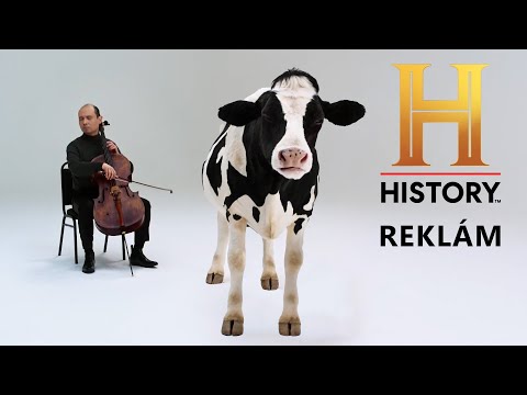 History reklámok (2024. március 12.) | Reklámgyűjtő