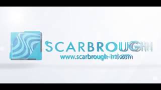 How does an ATA Carnet work?