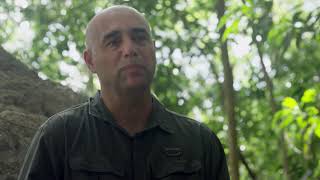 Belize Moves to Protect Critical Jaguar Habitat in Maya Forest Corridor