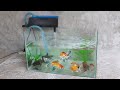 DIY Simple Aquarium using Glass