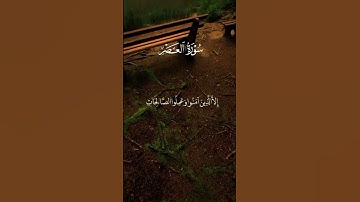 #قران_كريم سورة العصر #قرآن #اكسبلور