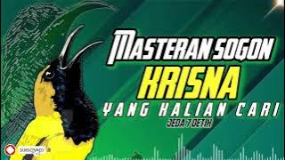 MASTERAN SOGON KRISNA | yang kalian cari cari!!! #sogon #sogongacor #sogokontong #sogokontonggacor