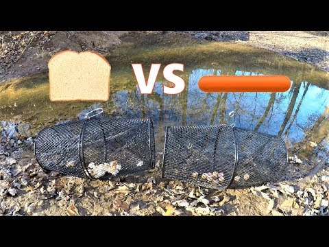 BEST Minnow Trap