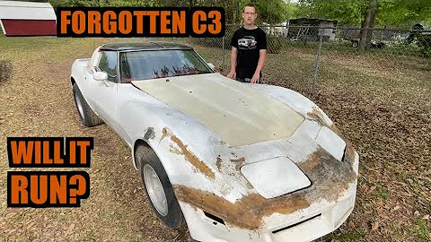 Will This Forgotten C3 Corvette Run After Sitting For 10 Years?