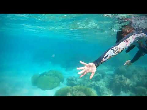 Exmouth - Snorkeling