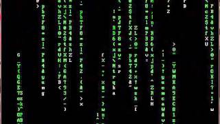 The Matrix falling code by Assembly (TASM)