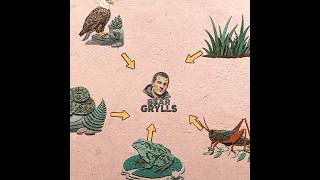 paper unfold animation like fictic Edit in capcut | SAMMBOI