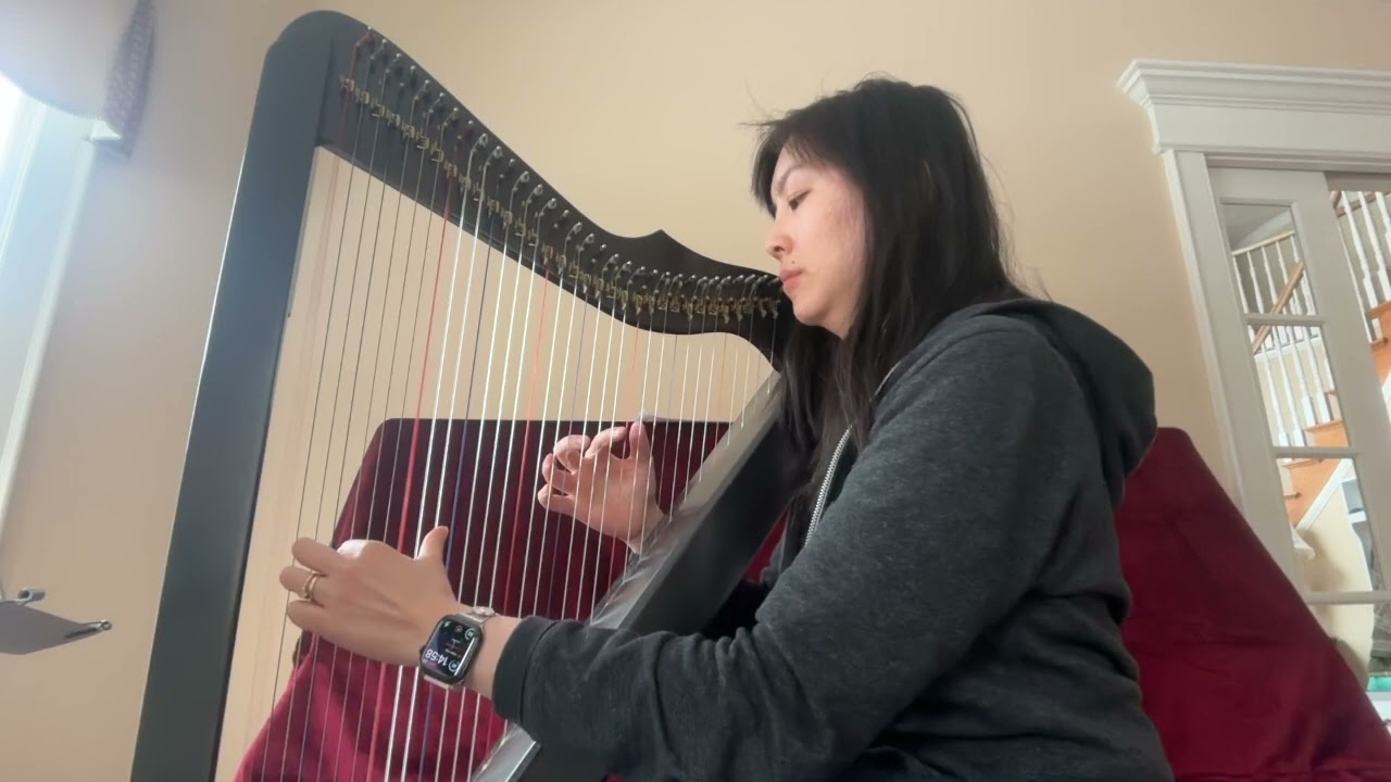 Clair de Lune - Harp Solo, take #2
