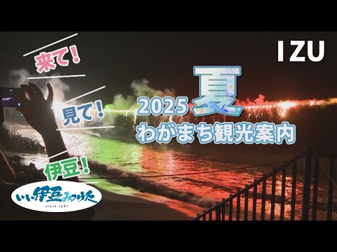 バスガイドオリジナル教本　南伊豆　中伊豆　からの　東京方面に向けての案内 バスガイドオリジナル教本 南伊豆 中伊豆 からの 東京方面に向けての