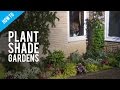 A Guide To Shade Gardening & Shade Garden Plants