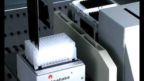 evo_teshake_diti.avi